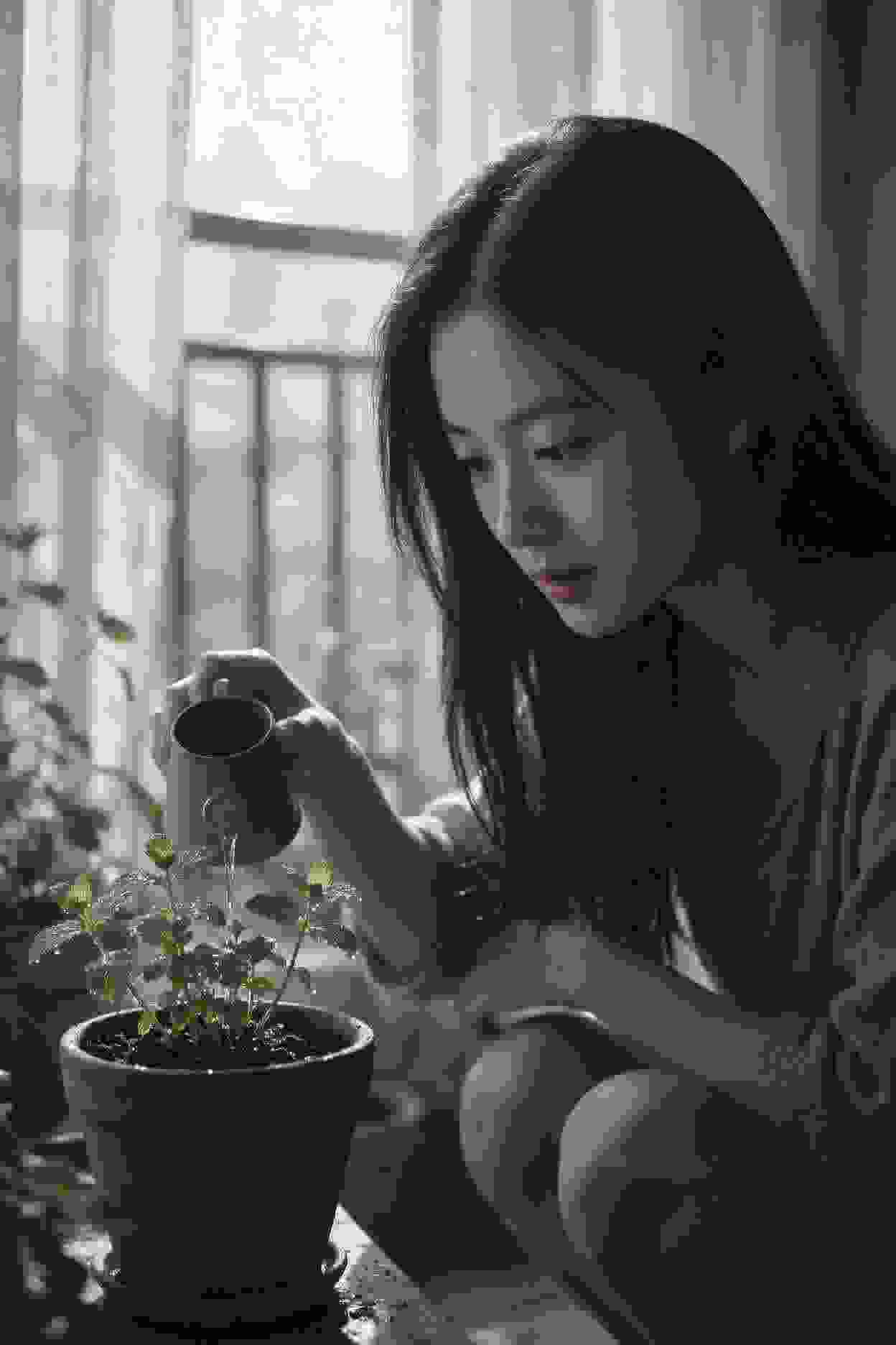 宫廷谍梦